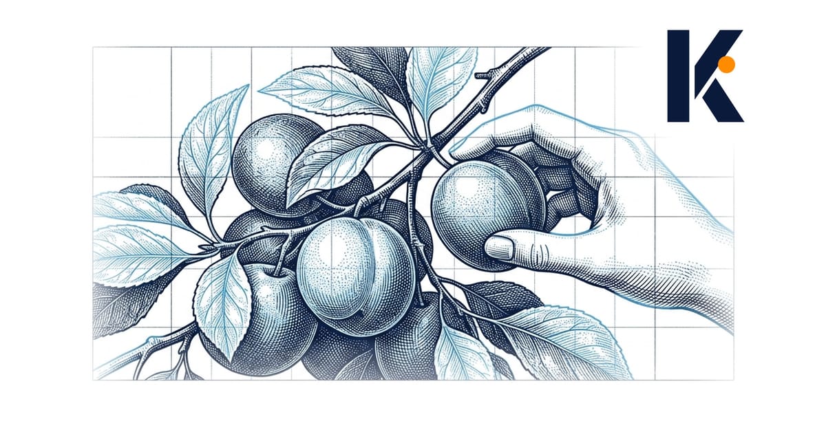 Une main cueille un fruit mûr sur une branche chargée, étudiée en planche botanique ; le fruit a poussé avant la cueillette.