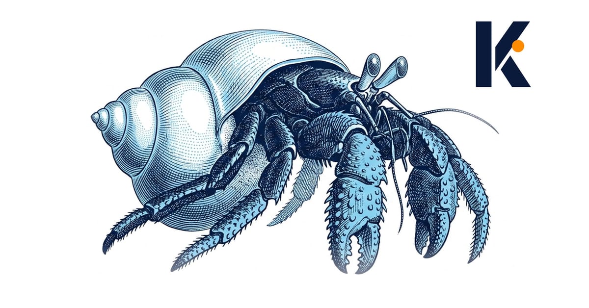 Bernard-l'ermite à demi sorti d'une coquille d'emprunt, pinces et yeux pédonculés tendus - gravure naturaliste 19e.
