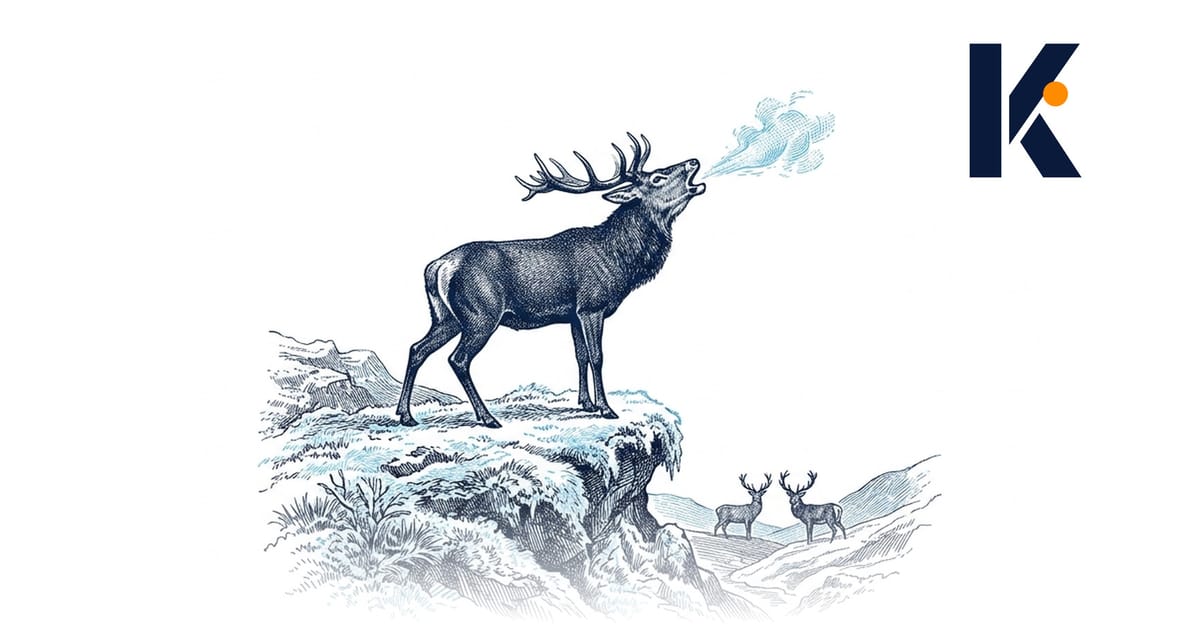 Cerf qui brame tête rejetée en arrière sur une crête givrée, des rivaux silencieux en contrebas - gravure naturaliste 19e.