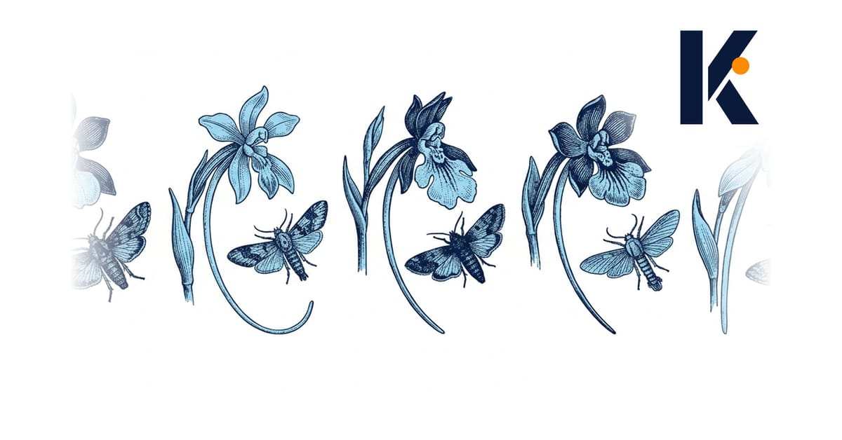 Planche naturaliste : plusieurs orchidées distinctes, chacune épinglée à côté du papillon unique adapté à sa corolle.