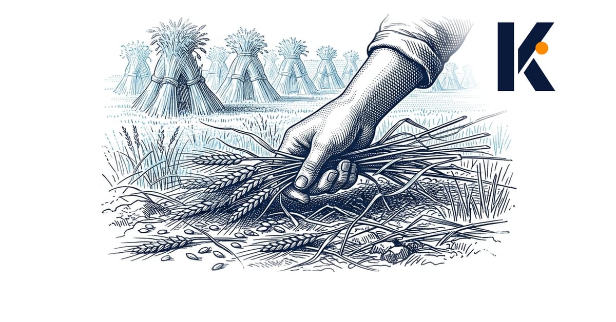 Main de glaneur ramassant du grain tombé dans un champ moissonné, gerbes visibles au loin - gravure agricole 19e.