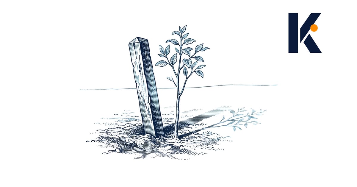 Piquet de géomètre en bois dans un sol fertile, jeune arbre projetant une ombre longue vers un horizon vide - gravure natural