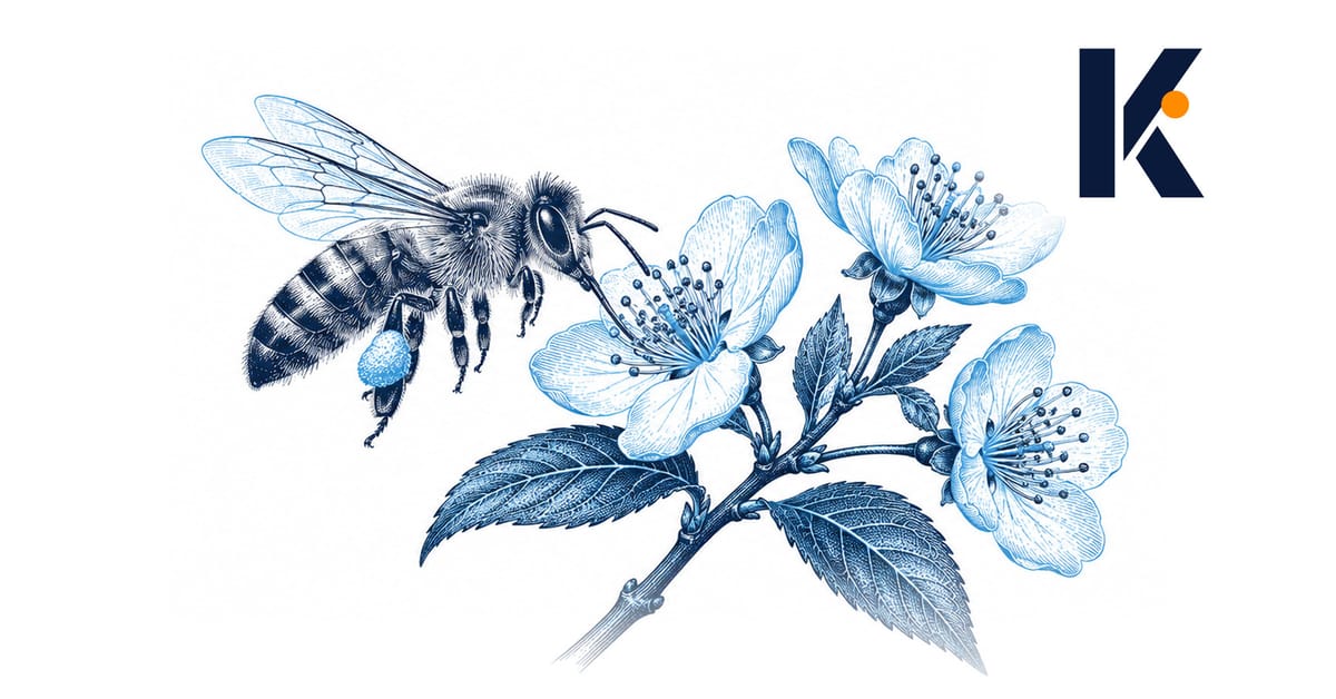 Une abeille en vol devant une branche à plusieurs fleurs, image du répertoire multi-marques - gravure naturaliste.