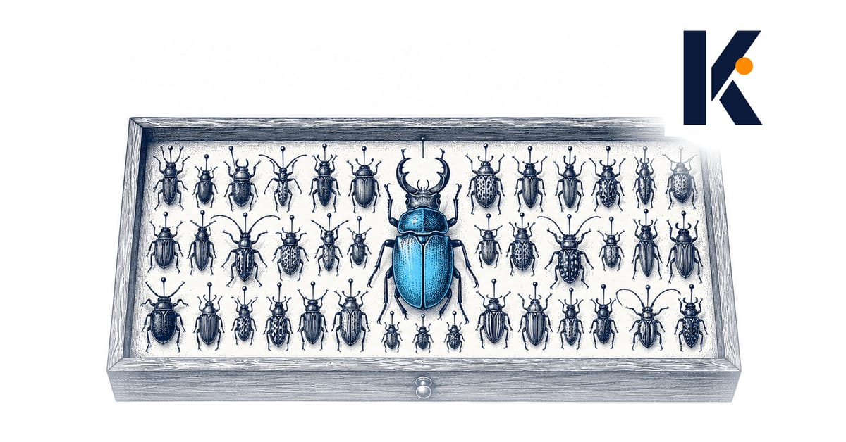 Tiroir entomologique 19e : une multitude de petits insectes et un seul grand spécimen irisé qui se détache.