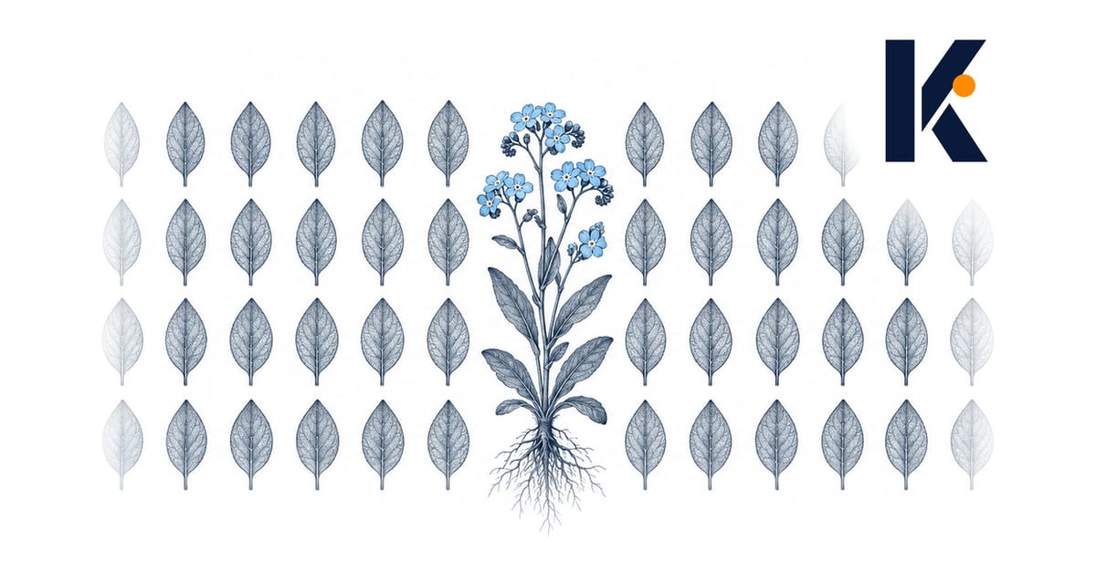 Planche d'herbier 19e : spécimens pressés uniformes en grille, une fleur rare dessinée avec détail au centre - gravure.