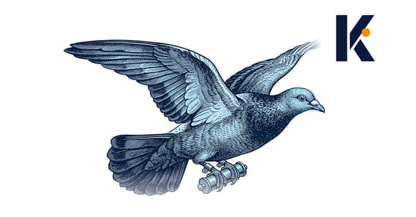 Pigeon voyageur en plein vol, cylindre porte-message en laiton fixé à la patte - gravure naturaliste 19e.