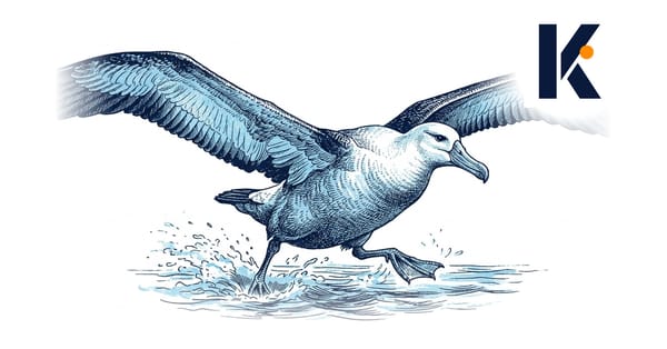 Albatros au décollage, ailes déployées, pattes battant l'eau pour prendre son élan - gravure naturaliste 19e.